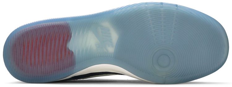 Nike SB Zoom Dunk Elite Low Sean Malto