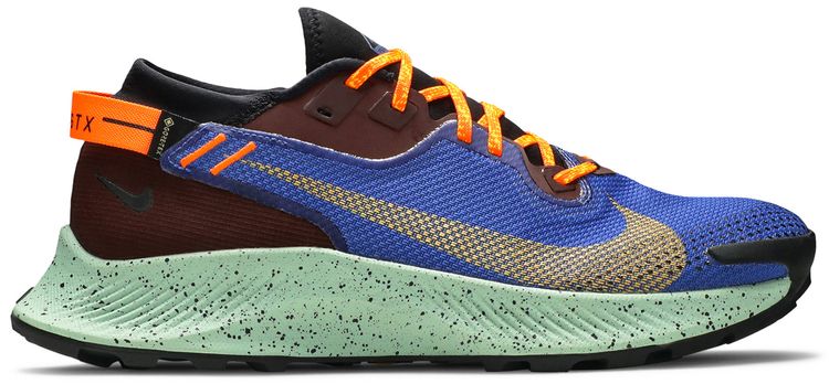 Pegasus Trail 2 GTX Mystic Dates Blue