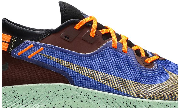 Pegasus Trail 2 GTX Mystic Dates Blue