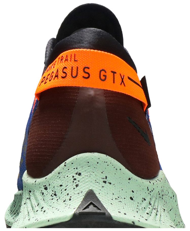 Pegasus Trail 2 GTX Mystic Dates Blue