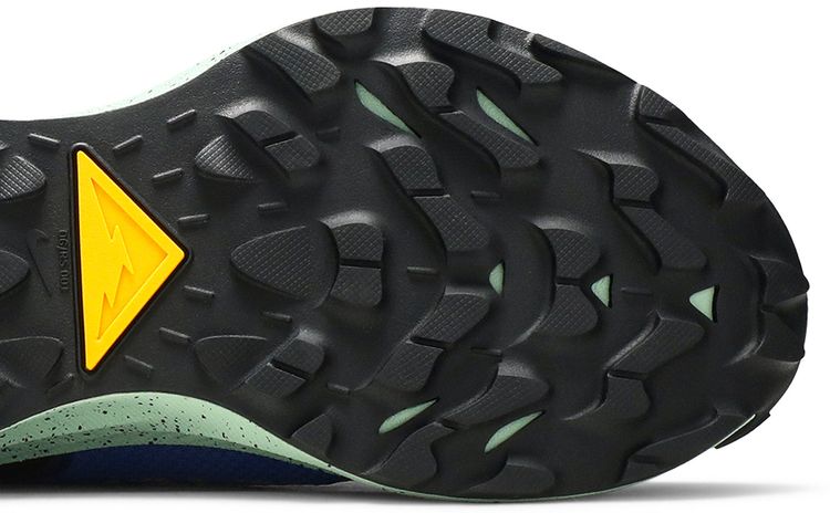 Pegasus Trail 2 GTX Mystic Dates Blue