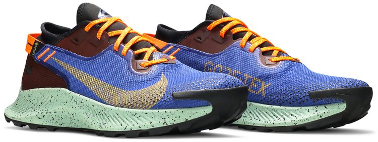 Pegasus Trail 2 GTX Mystic Dates Blue