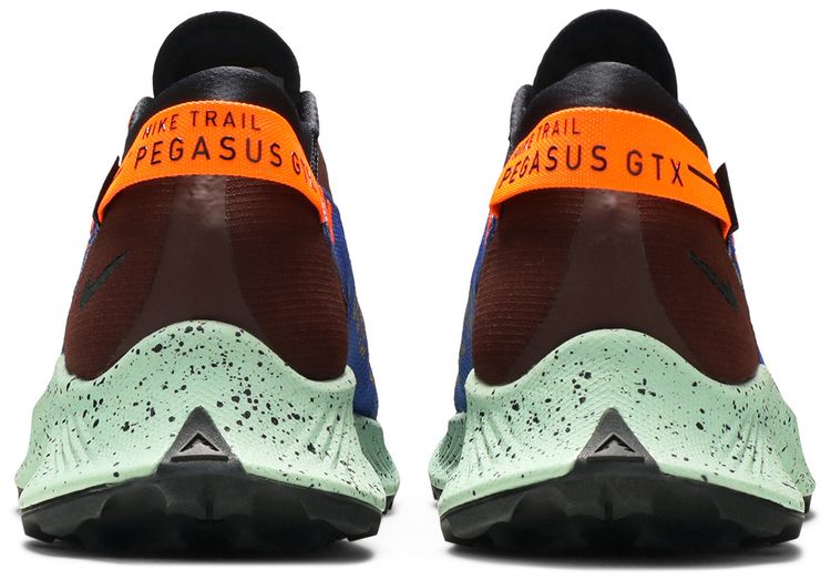 Pegasus Trail 2 GTX Mystic Dates Blue