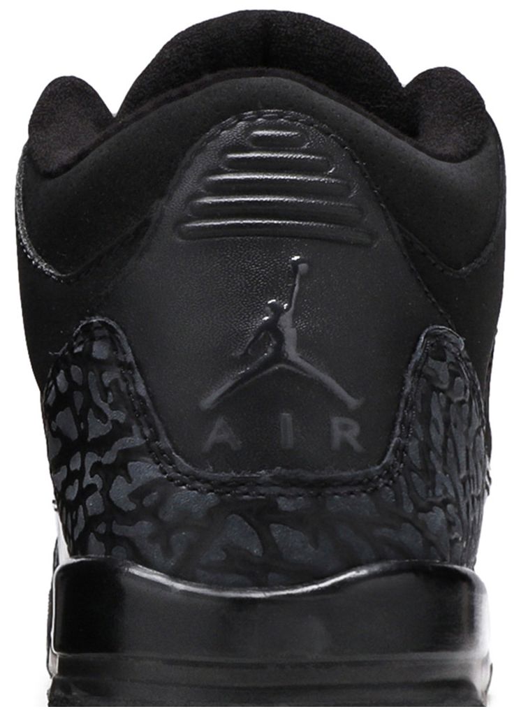 Air Jordan 3 Retro GS Black Cat