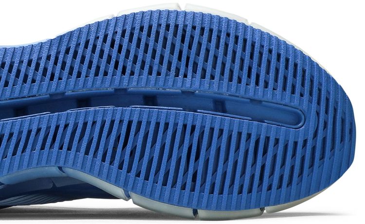 Reebok COTTWEILER x Zig 3D Storm Blue