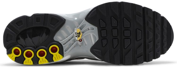 Nike Air Max Plus GS Dark Smoke Grey