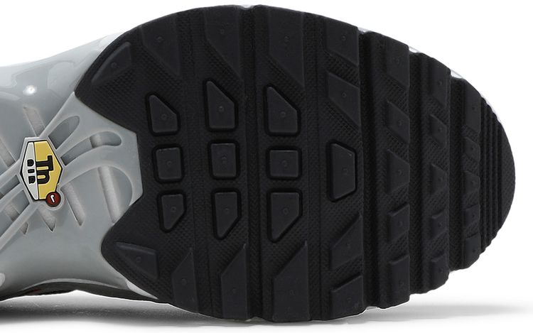 Nike Air Max Plus GS Dark Smoke Grey