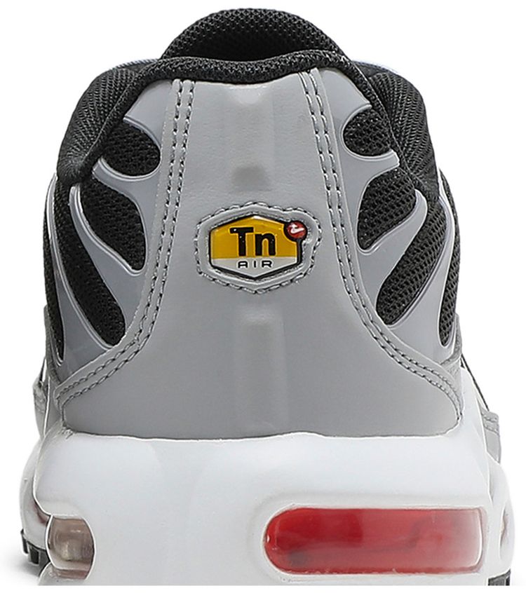 Nike Air Max Plus GS Dark Smoke Grey