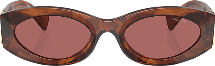 Miu Miu Sunglasses Tortoise Shell