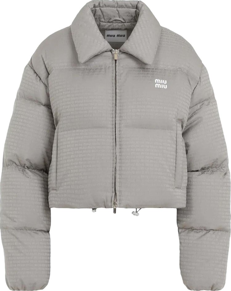 Miu Miu Down Jacket Alluminio