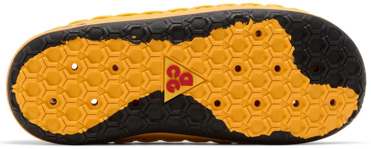 ACG Watercat University Gold