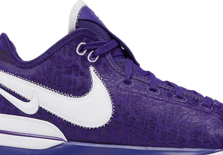 Zoom LeBron NXXT Gen TB Promo Team Purple