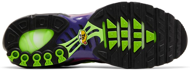 Nike Air Max Plus Rebellious Air