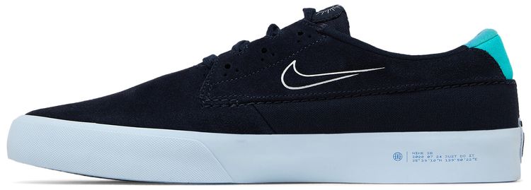 Nike Shane SB Dark Obsidian