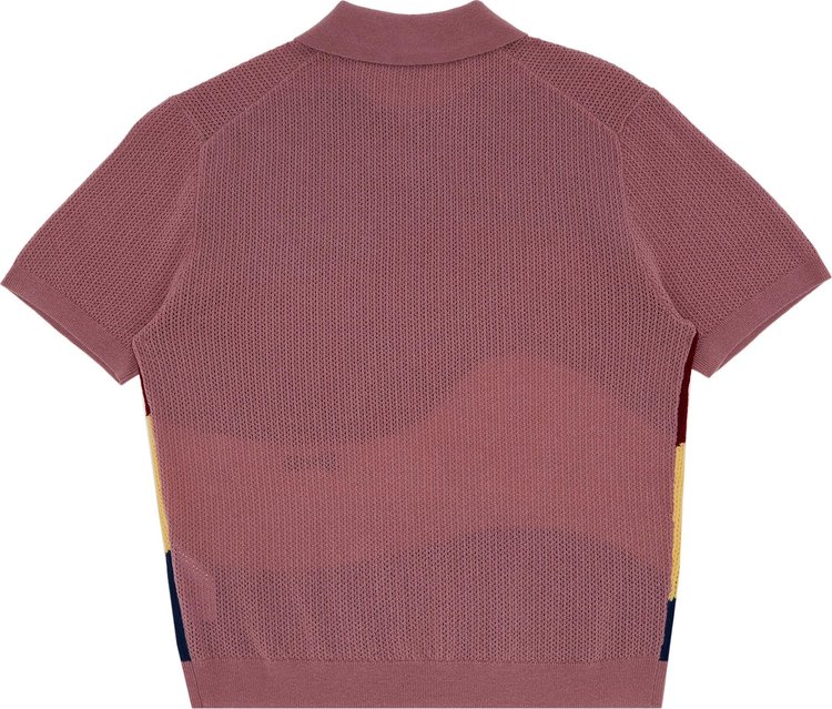 Glass Cypress Knit Polo PurpeMulticolor