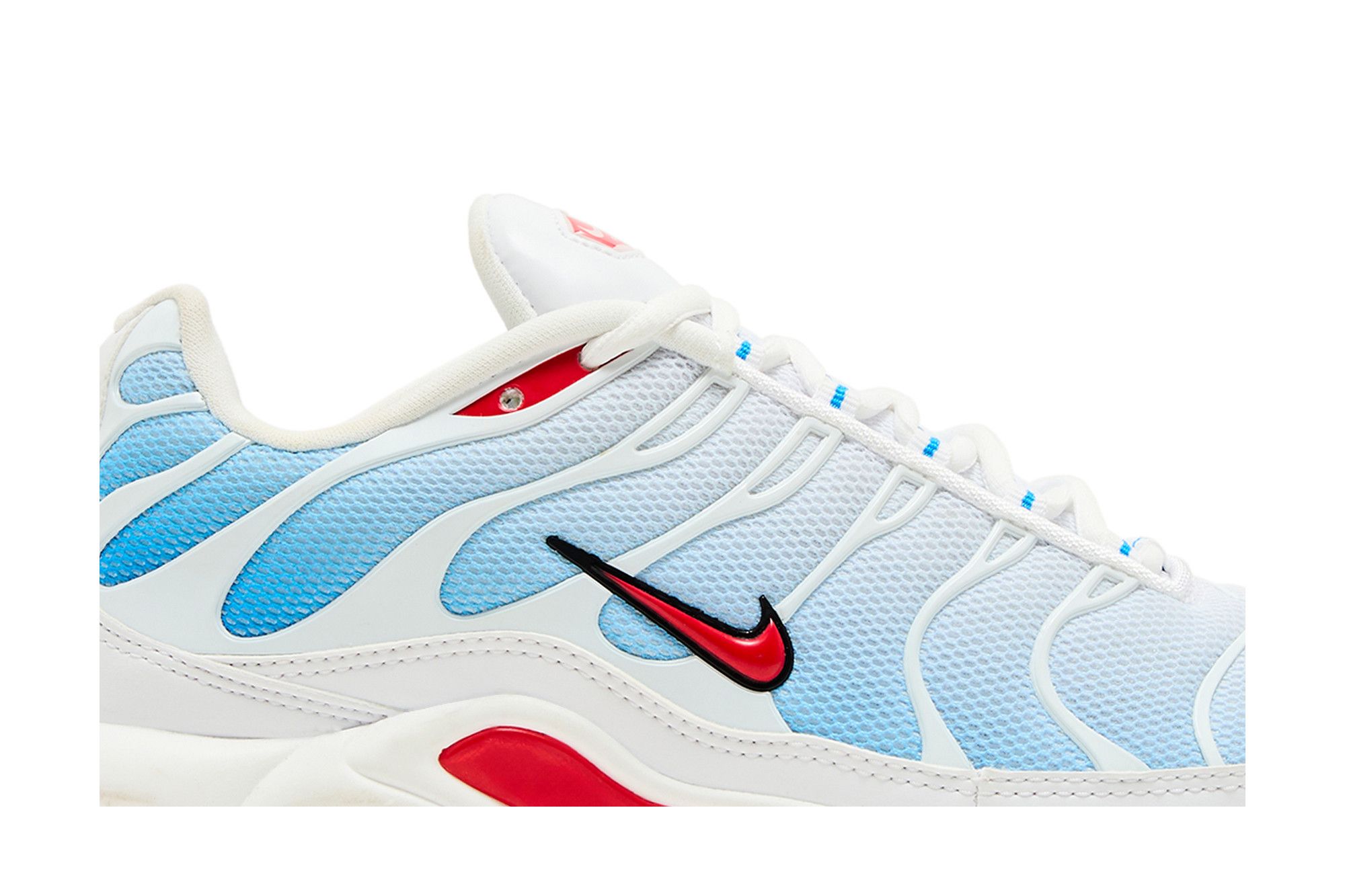 Size 11.0 Air Max Plus Tide 2022