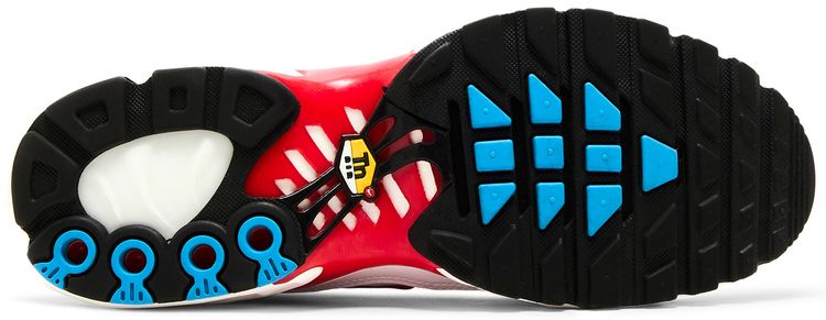 Nike Air Max Plus Tide 2022