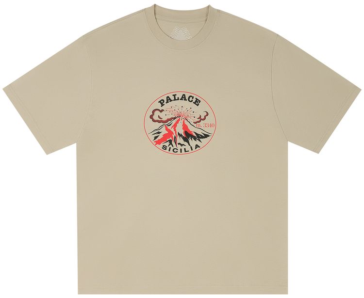 Palace Active T Shirt Stoney Grey