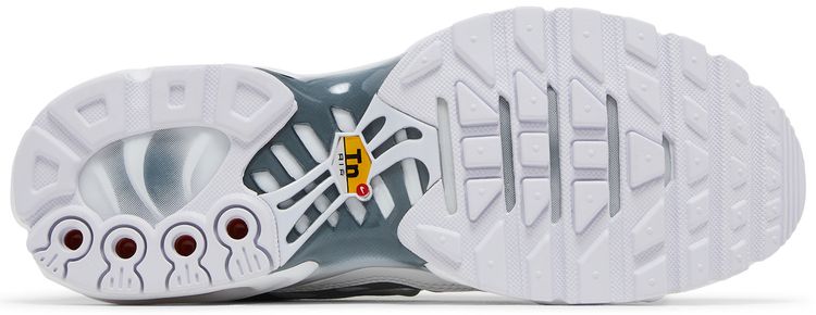 Nike Wmns Air Max Plus White Metallic Silver