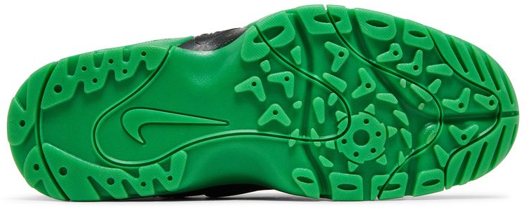 Nike Air Mission PRM Oregon