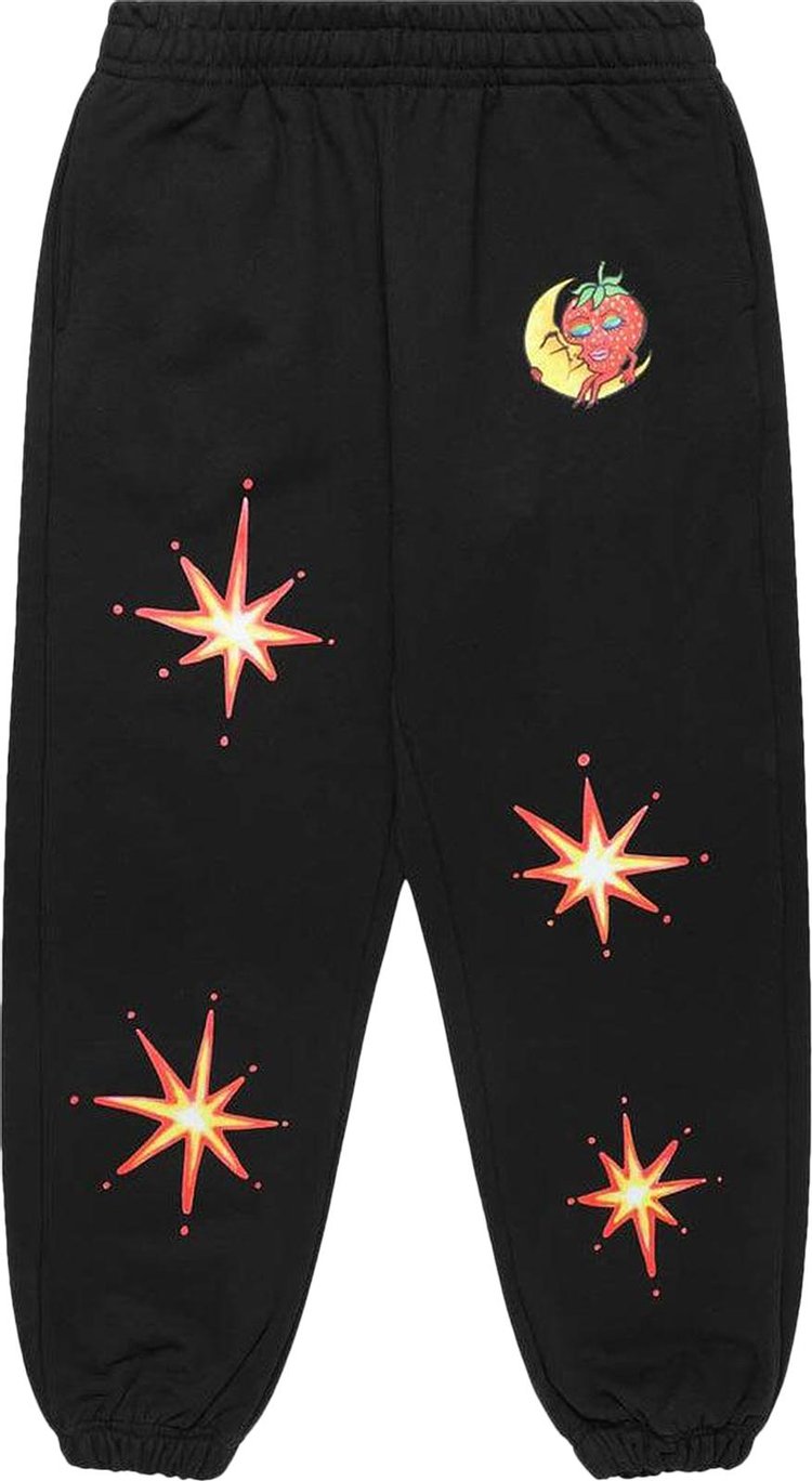 Sky High Farm Workwear Ally Bo Perennials Printed Sweatpants Black