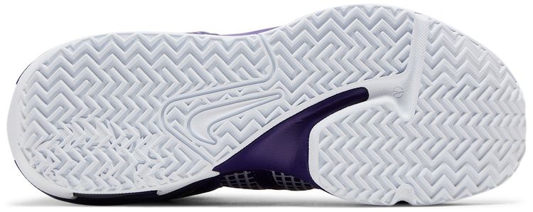 LeBron Witness 7 TB Court Purple