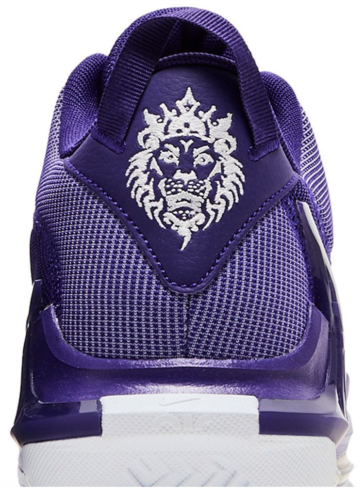 LeBron Witness 7 TB Court Purple