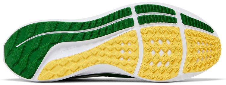 Nike Air Zoom Pegasus 39 Oregon