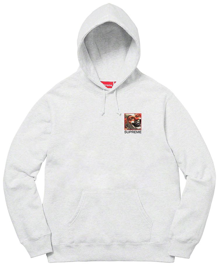 Supreme x Butthole Surfers Hooded Sweatshirt Ash Grey