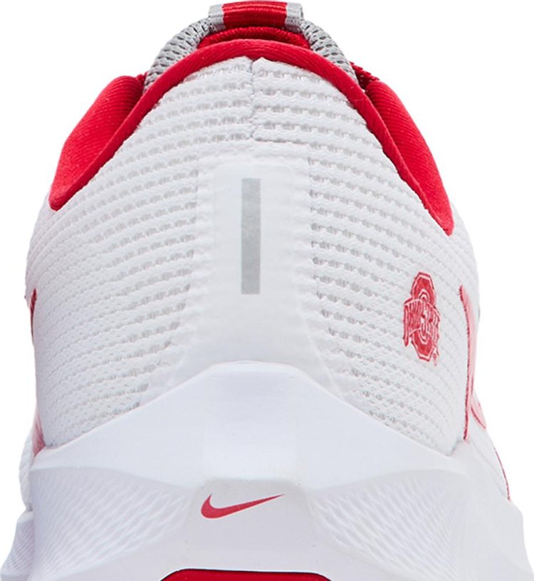 Air Zoom Pegasus 40 Ohio State