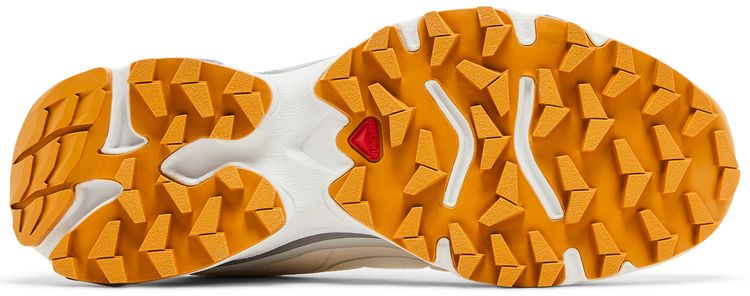 Salomon and wander x XT Slate White