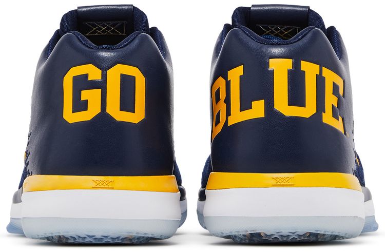 Air Jordan 31 Low Michigan