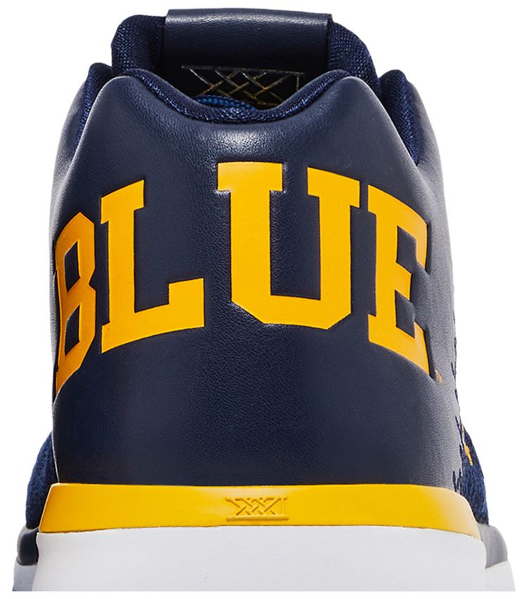 Air Jordan 31 Low Michigan