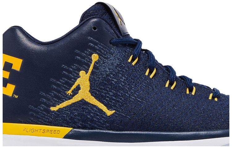 Air Jordan 31 Low Michigan