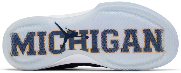 Air Jordan 31 Low Michigan