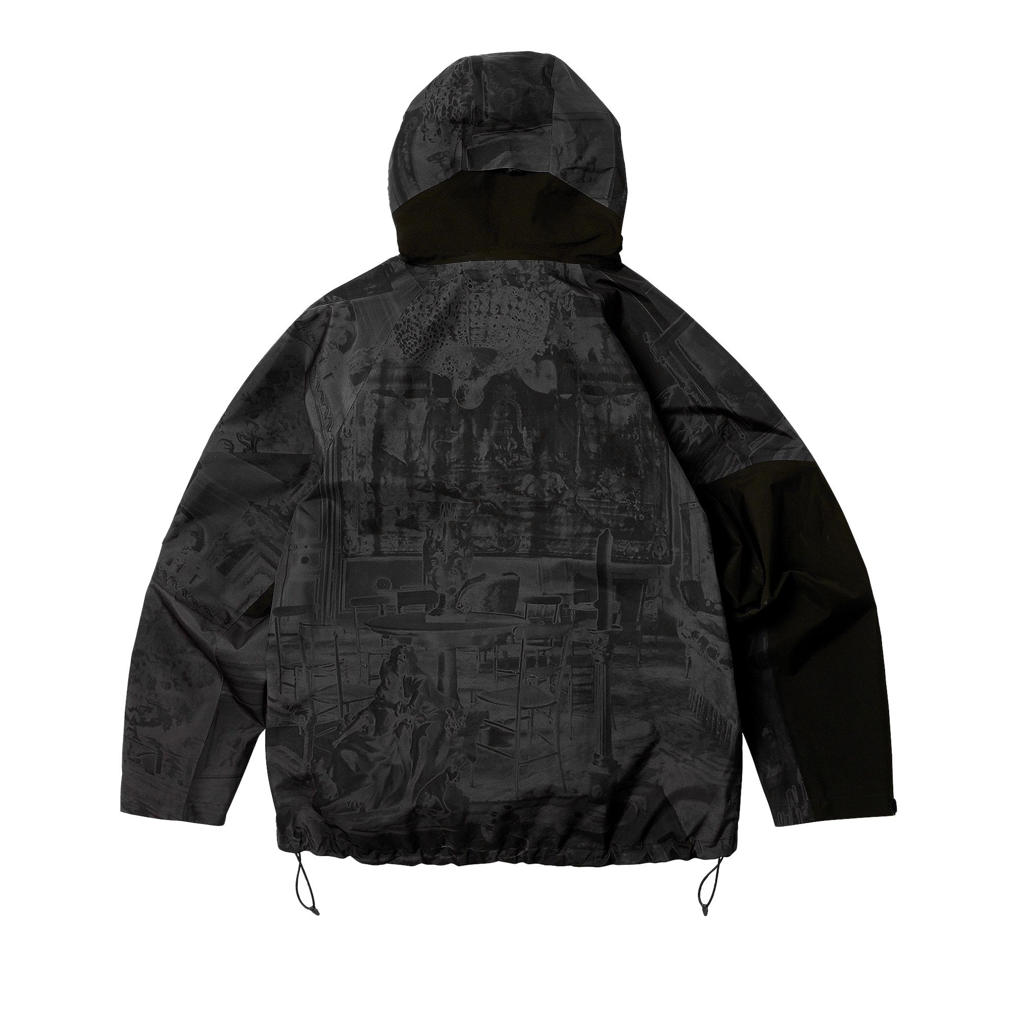 Buy Palace x Vivienne Westwood GORE-TEX Jacket 'Mono Print' - P26VWJK002 |  GOAT