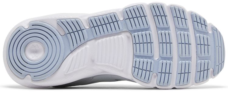 Under Armour Wmns Charged Assert 9 Halo Grey White