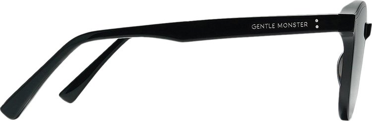 Gentle Monster Lang 01 Sunglasses Black