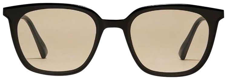 Gentle Monster Lilit 01BR Sunglasses BlackBrown