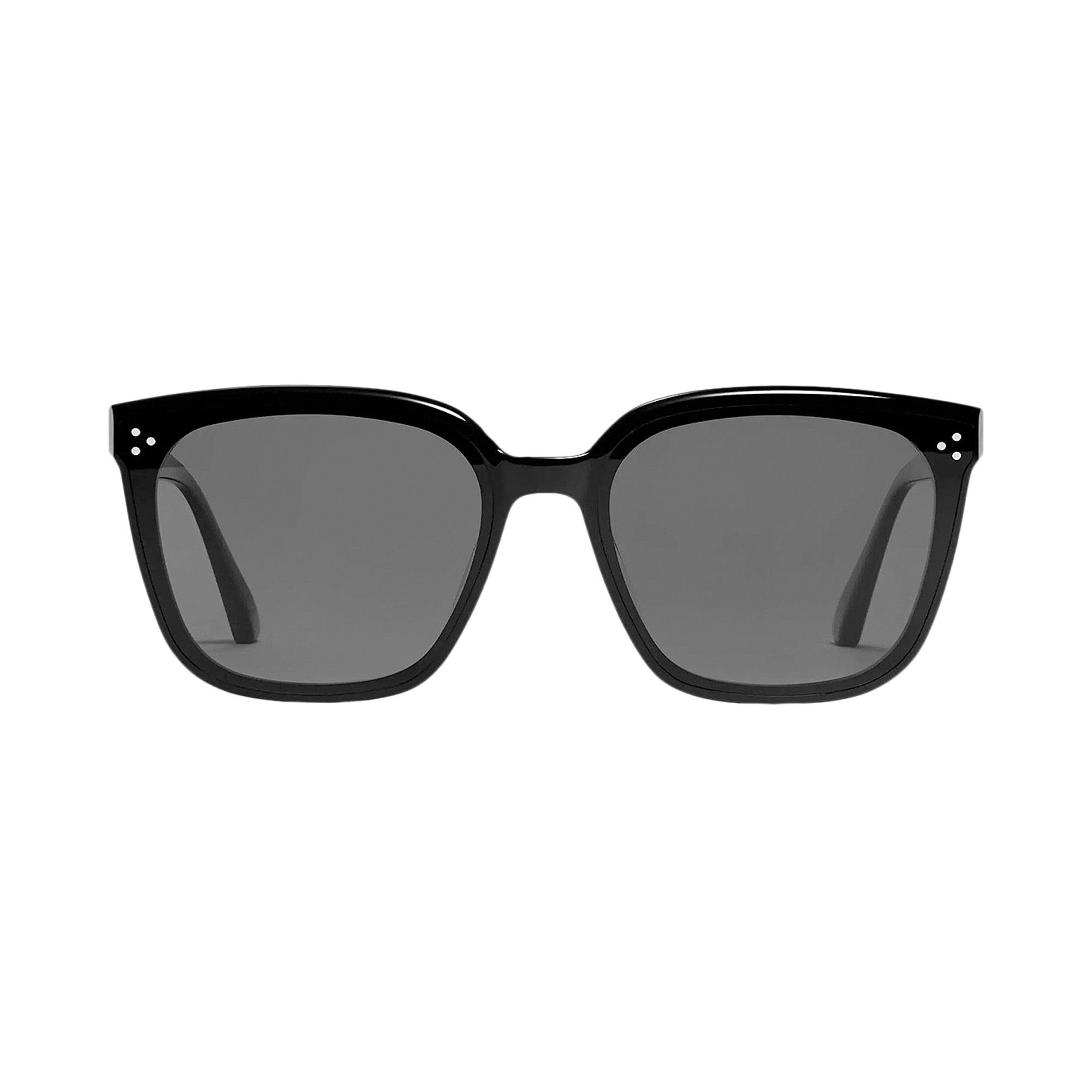 Buy Gentle Monster Palette 01 Sunglasses 'Black' - PALETTE