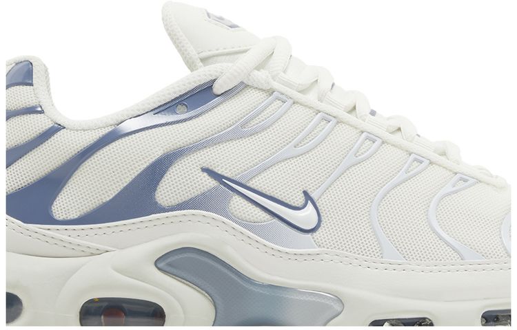 Wmns Air Max Plus Ashen Slate