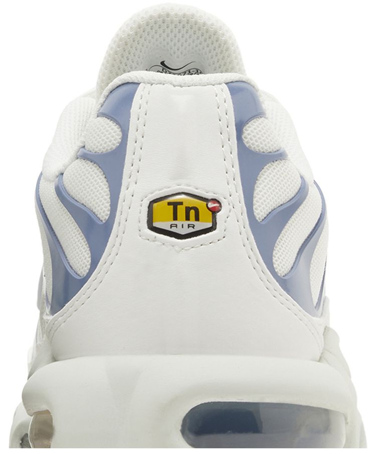 Wmns Air Max Plus Ashen Slate