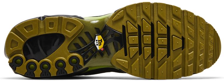 Nike Air Max Plus Pacific Moss