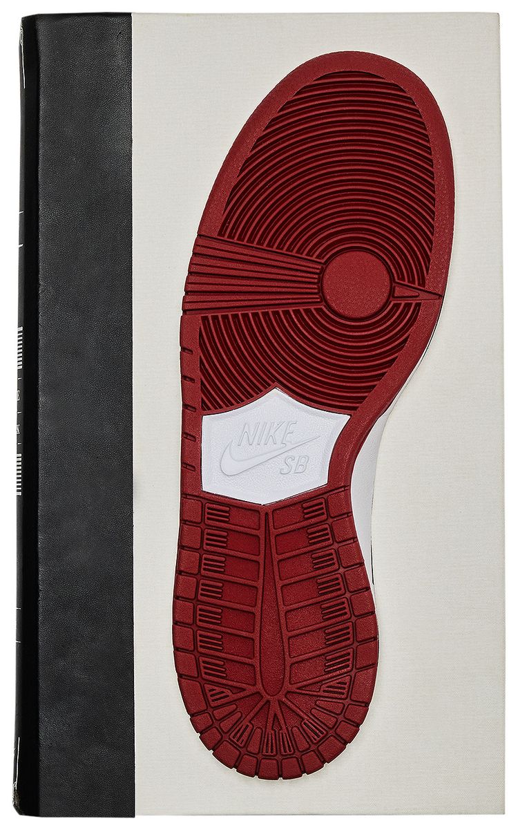 The Nike SB Dunk Pro Book