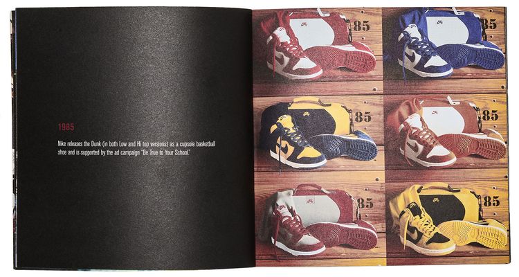 The Nike SB Dunk Pro Book