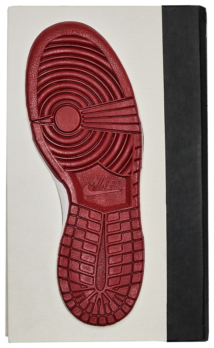 The Nike SB Dunk Pro Book