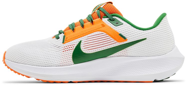 Nike Air Zoom Pegasus 40 Florida AM University