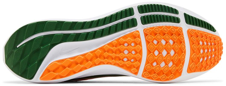 Nike Air Zoom Pegasus 40 Florida AM University