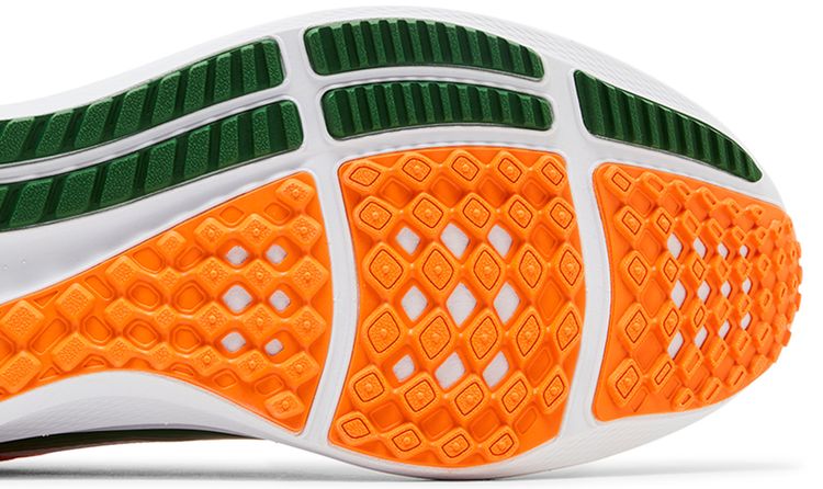 Nike Air Zoom Pegasus 40 Florida AM University