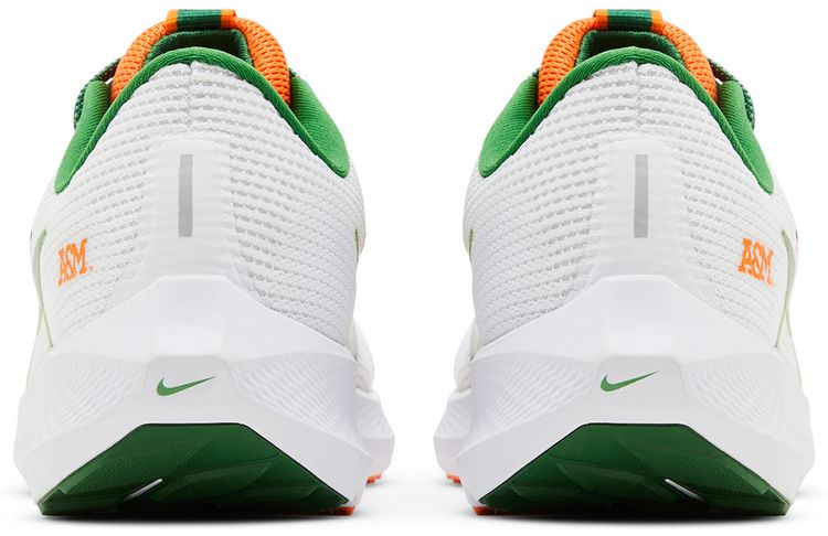 Nike Air Zoom Pegasus 40 Florida AM University